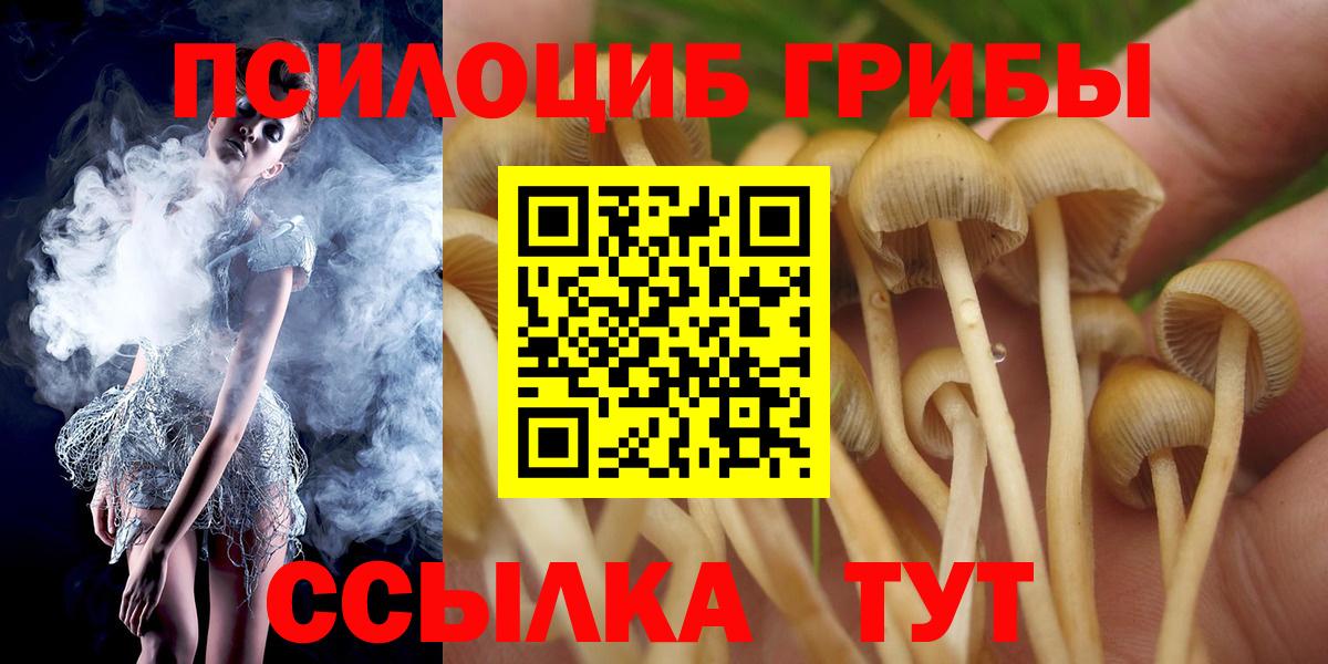 Галлюциногенные грибы ЛСД  Вход с VPN  Алатырь 